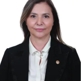 Ayşe Sibel Ersoy Milletvekili Fotoğrafı