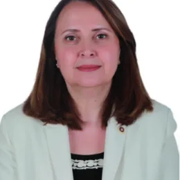 Semra Dinçer Milletvekili Fotoğrafı