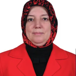 Emine Yavuz Gözgeç Milletvekili Fotoğrafı
