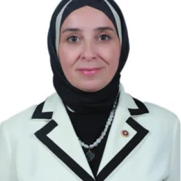 Elif Esen Milletvekili Fotoğrafı