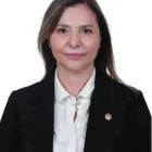 Ayşe Sibel Ersoy Milletvekili Fotoğrafı