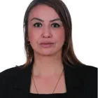 Nermin Yıldırım Kara Milletvekili Fotoğrafı