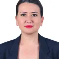 Gökçe Gökçen Milletvekili Fotoğrafı