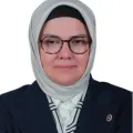 Ayşe Böhürler Milletvekili Fotoğrafı