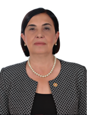 Jale Nur Süllü Milletvekili Fotoğrafı