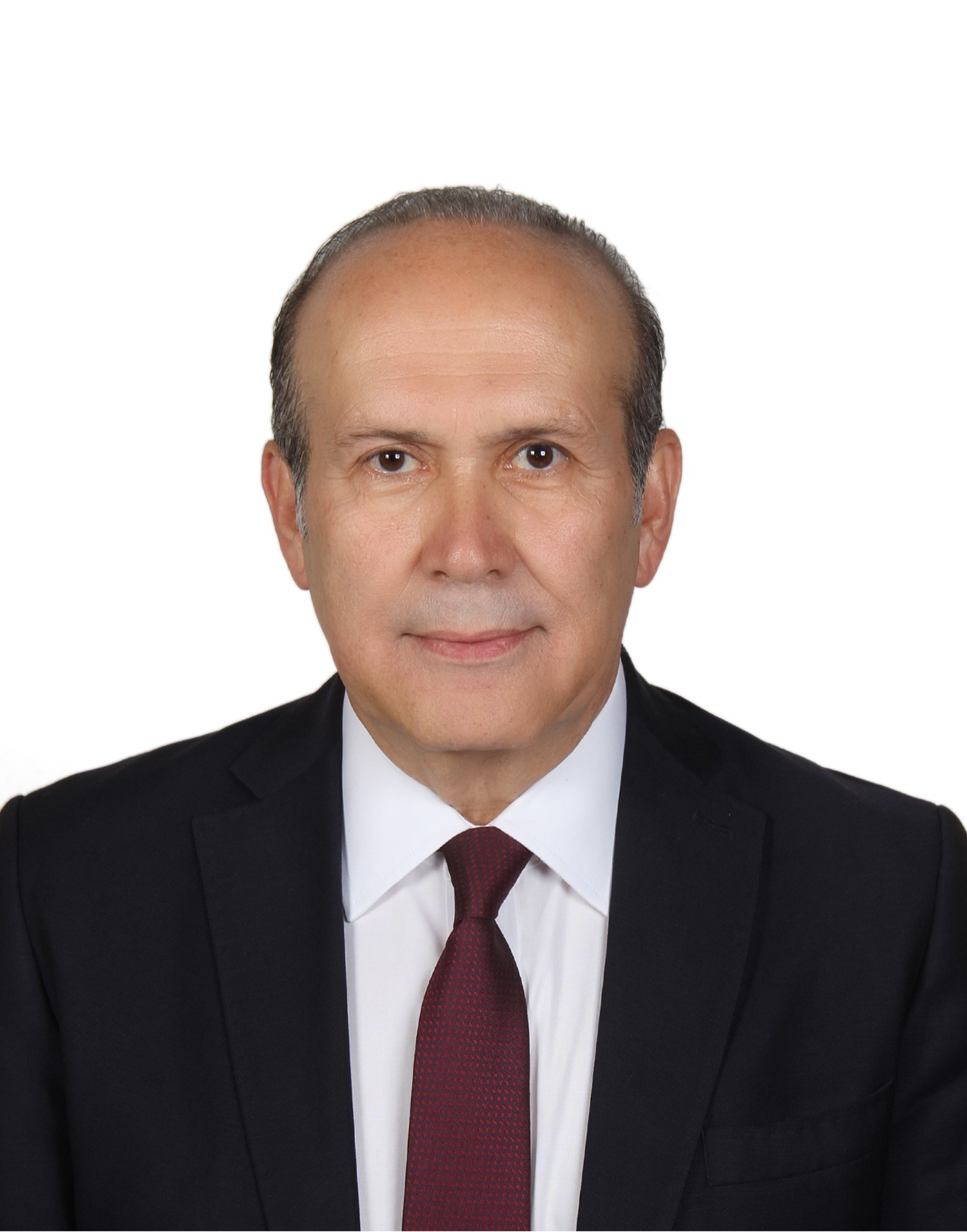 Namık Tan Milletvekili Fotoğrafı