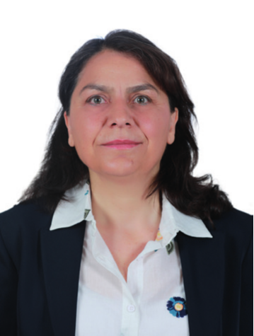 Özgül Saki Milletvekili Fotoğrafı